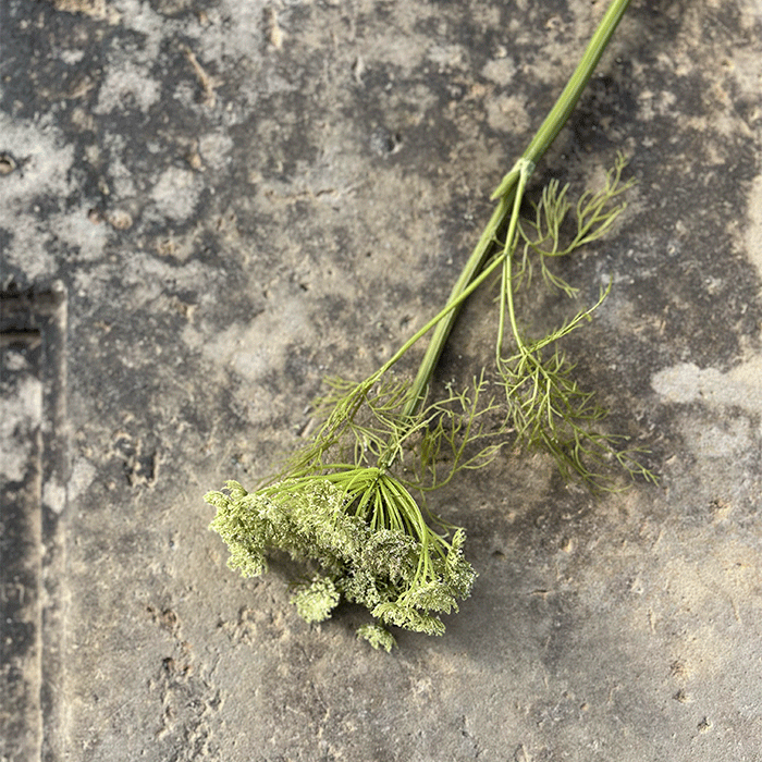 Kunstig Quin Ann Blomst