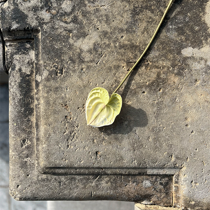 Kunstig Anthurium Grøn