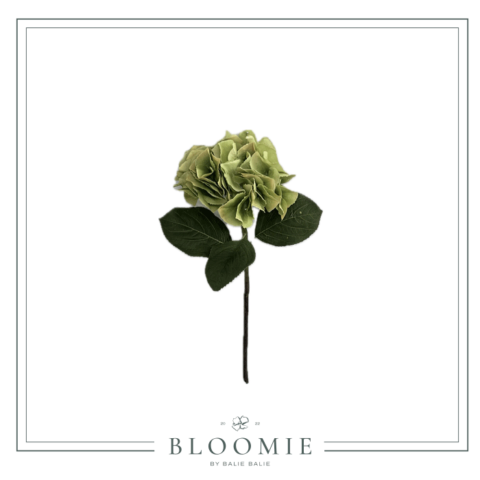 Kunstig Hortensia med Blade Grøn