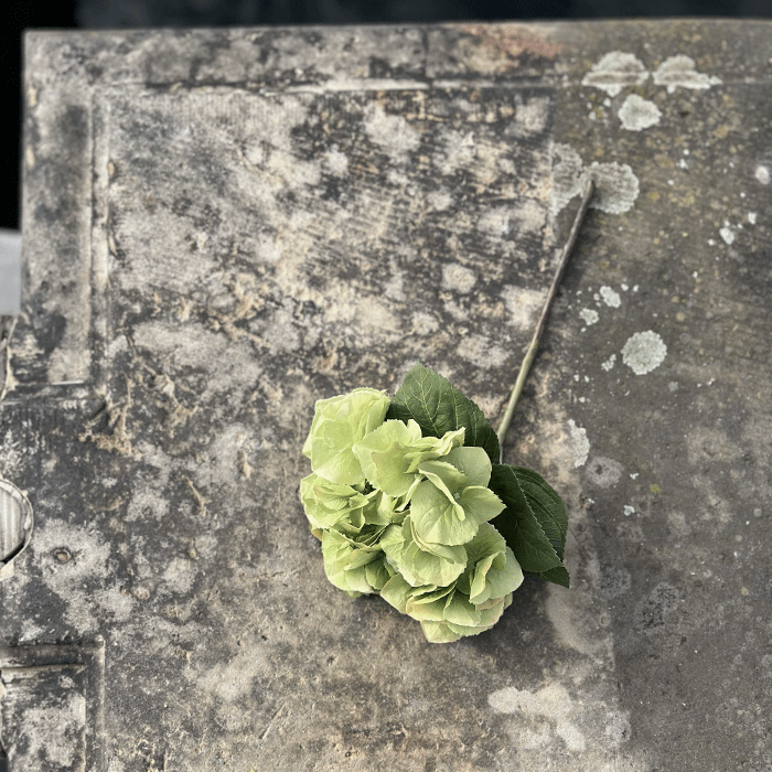 Kunstig Hortensia med Blade Grøn