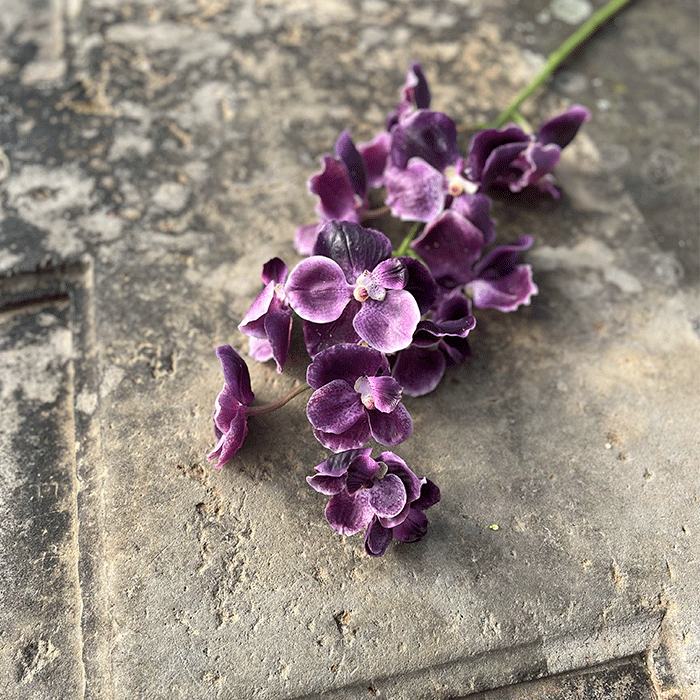 Kunstig Orkidé Violet L80