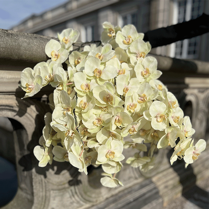 Kunstig Orkidé Creme