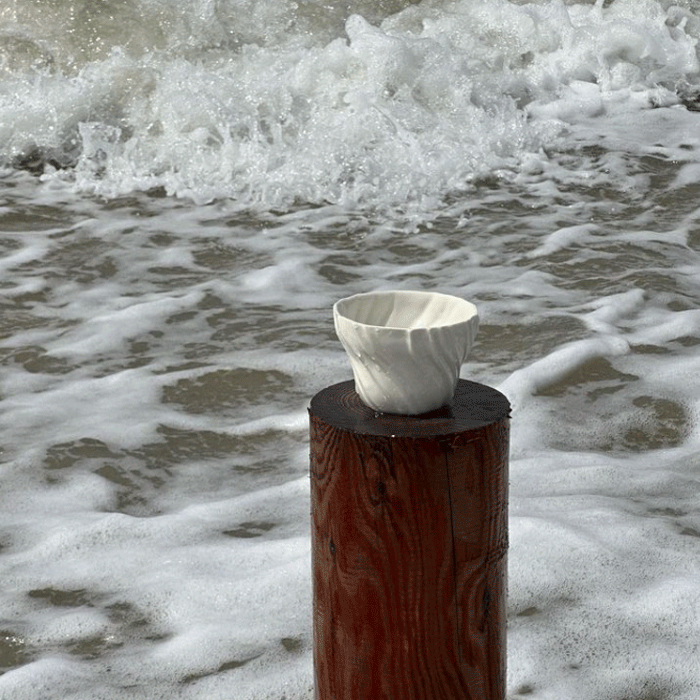 Tidevandskop-miljøbilede9