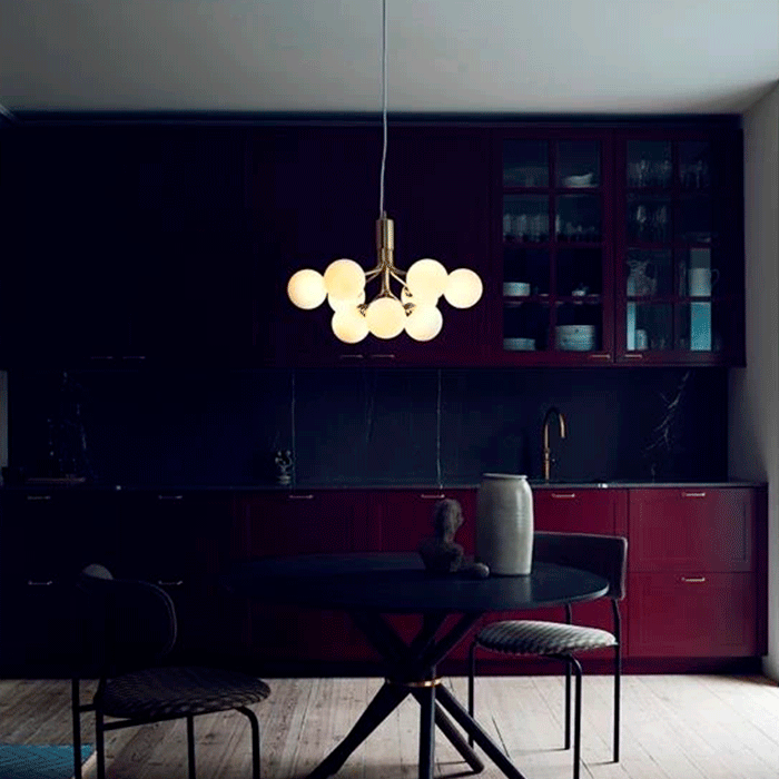 apiales-9-miljøbillede-9