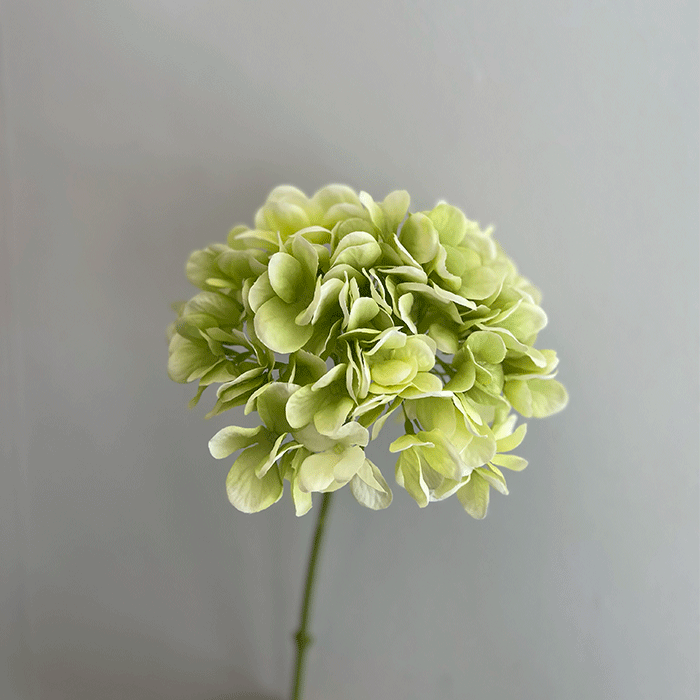Kunstig Hortensia Lys Grøn