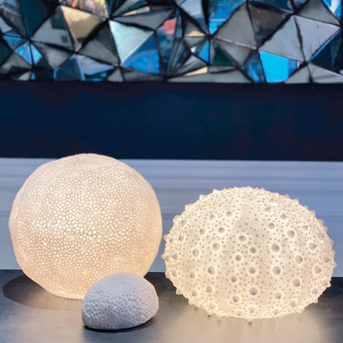 Koral Lampe