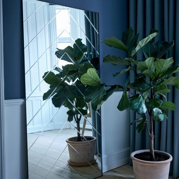 Sildeben Spejl 75x150