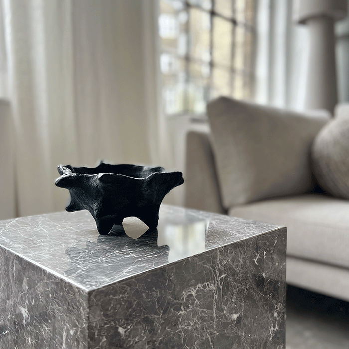 skål-med-pigge-miljø5