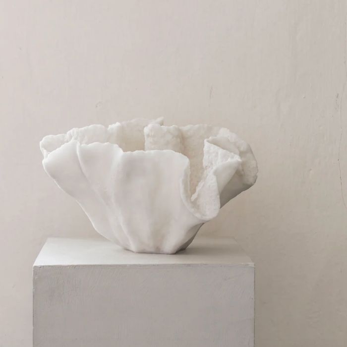 Koral Dekoration H17