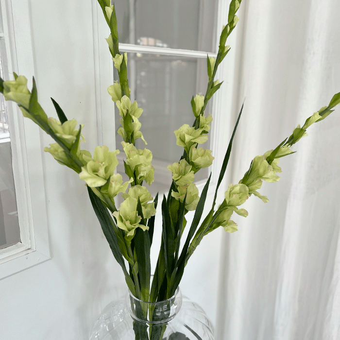 Kunstig Gladiolus Gren