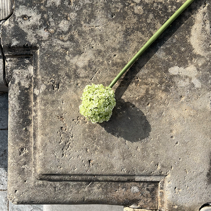 Kunstig Allium Blomst