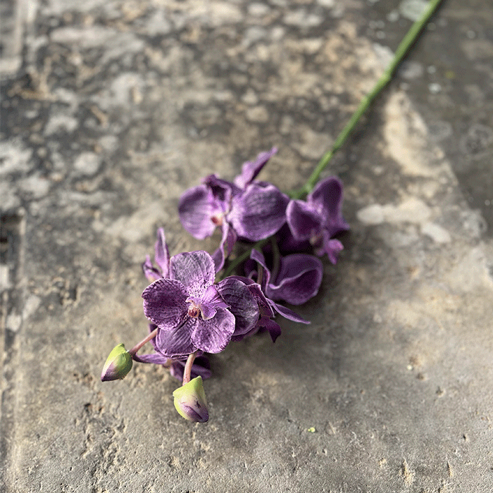 Kunstig Orkidé Violet L50