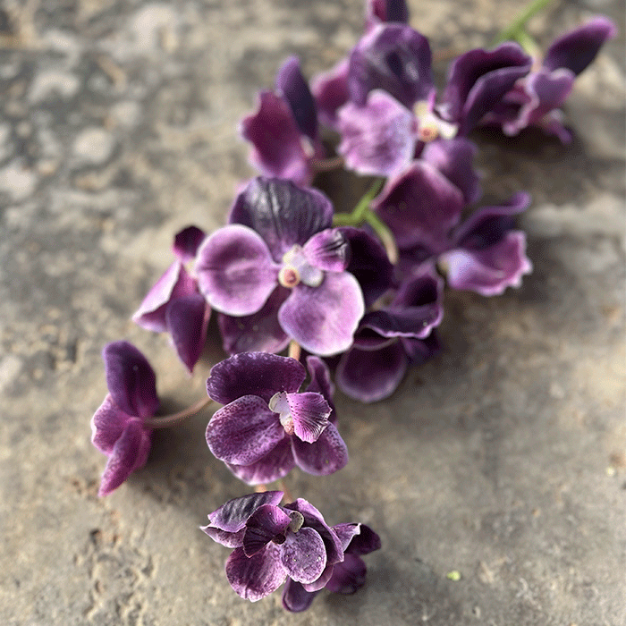 Kunstig Orkidé Violet L80