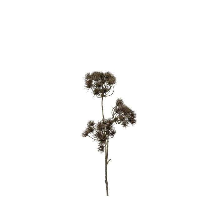 Kunstig Heracleum Tre Hoveder Brun