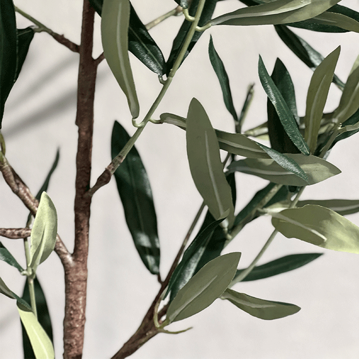 Kunstig Olivengren