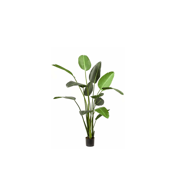 Kunstig Strelitzia Plante 120 cm