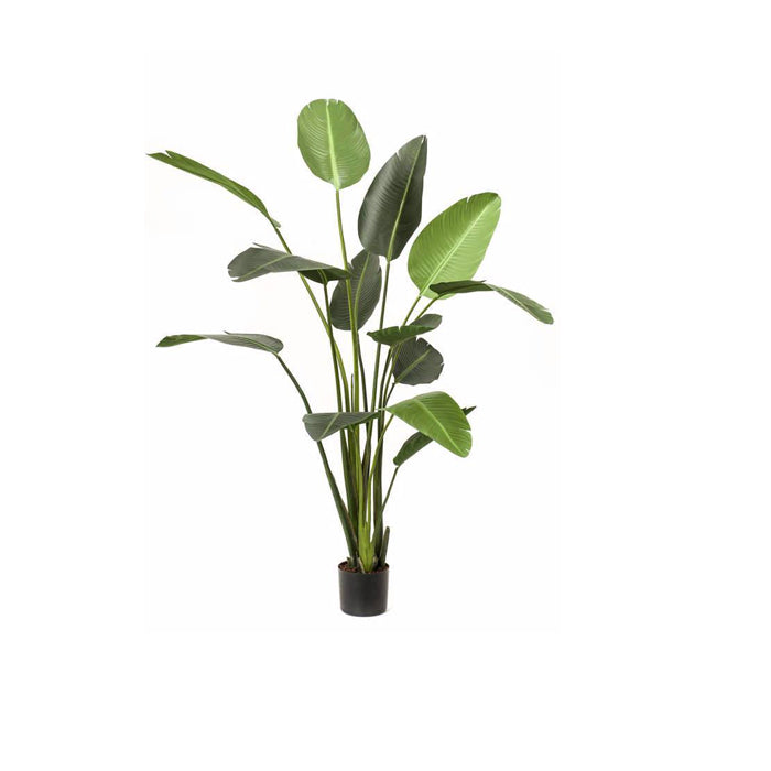 Kunstig strelitzia plante i 120cm.