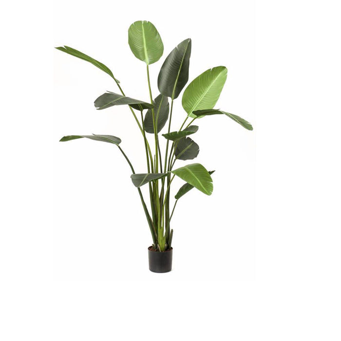 Kunstig strelitzia plante i 180cm.